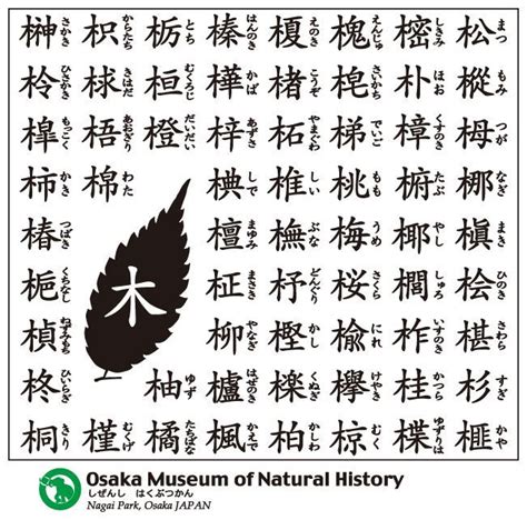 土生木|「土生木」という名字（苗字）の読み方は？レア度や。